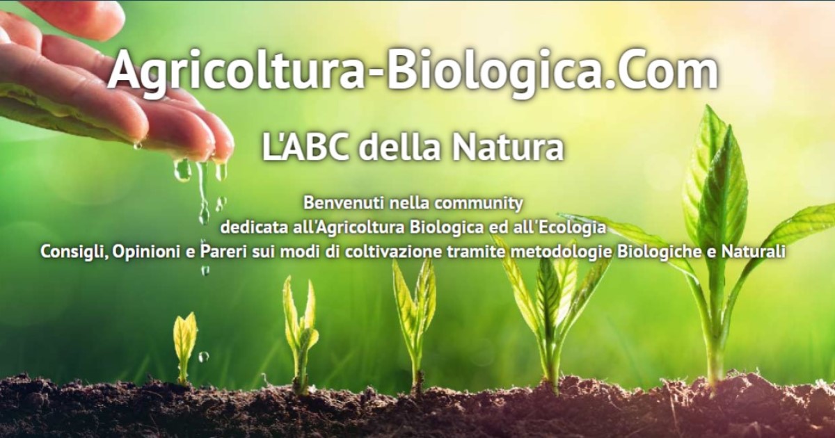 agricoltura-biologica.jpg